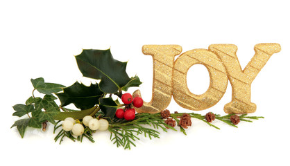 Christmas Joy