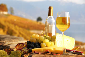 Glass of white wine and chesse on the terrace vineyard in Lavaux