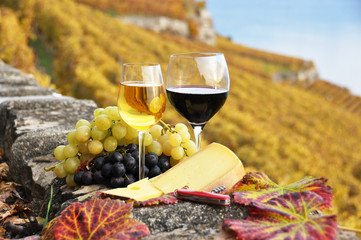 Two wineglasses, cheese and grapes on the terrace of vineyard in