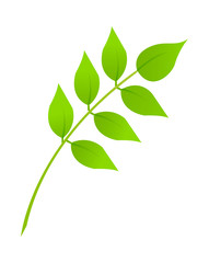 icon leaf