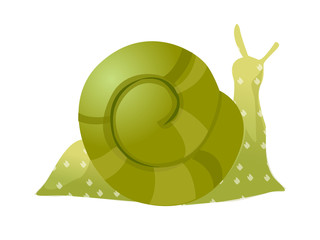 icon snail