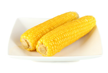 boiled corn isolated on gray on the white plate