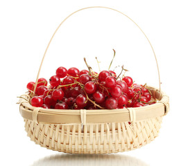 redcurrants in a basket isolated on white