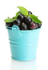 blueberris in bucket with mint isolated on white