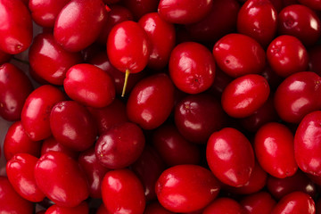 fresh cornel berries close-up