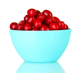 fresh cornel berries in blue bowl isolated on white