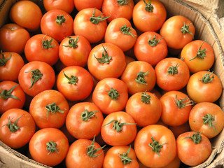 Piles of tomatoes on a farm