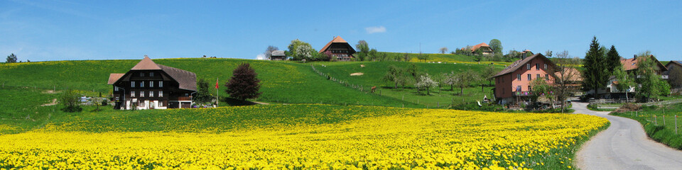 Emmental region, Switzerland - 45501004