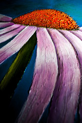 Flower Painting