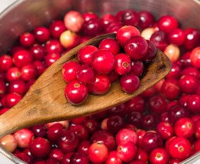 Making cranberry sauce