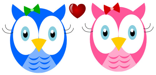 Cute owls in love