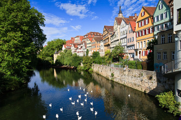 Fototapeta na wymiar Tübingen, typowy Cityscape z Neckar z łabędziami