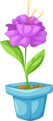 flower in a pot
