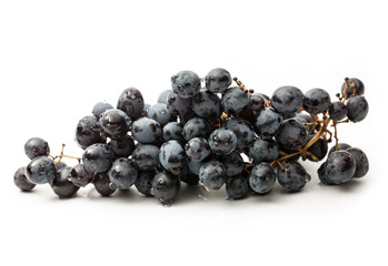 Twig of black grape on white