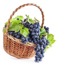 Dark grapes with leaves in a wicker basket, Isolated on white