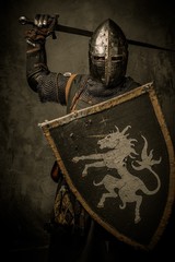 Medieval knight on grey background