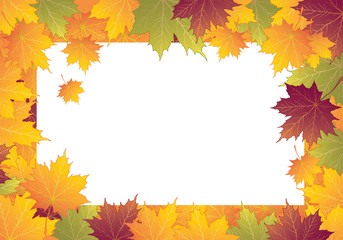 Autumn frame with maple leaves