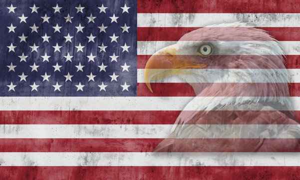 Bandera americana con el águla calva en transparencia