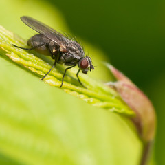 Naklejka premium Sitting Around