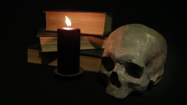 Human skull and book