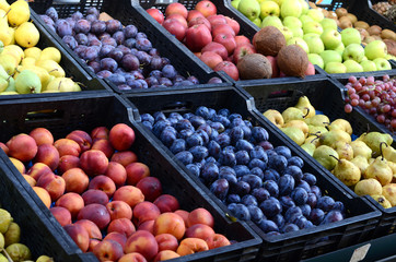 Fresh and organic fruits at farmers market
