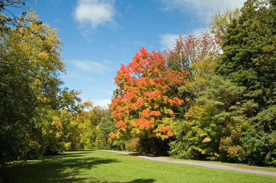 park in early fall colors