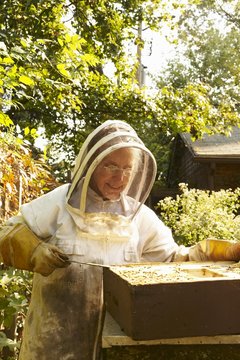 Bee Keeping