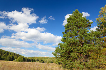 Obraz premium Nature, landscape