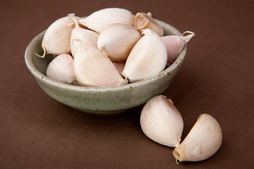 Garlic