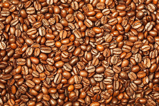 Roasted coffee beans © Sunny studio