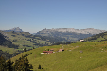 Fototapeta na wymiar Alpe Jänzimatt mit Schrattenflue
