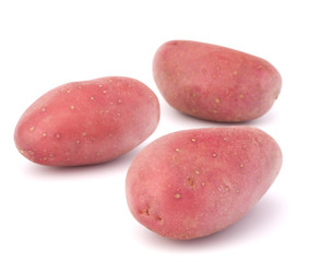 New potato tuber heap