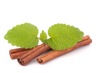Cinnamon sticks and fresh mint leaf