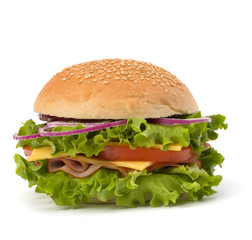 Junk food hamburger