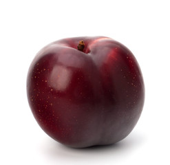 Red plum fruit