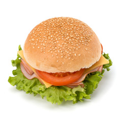 Junk food hamburger