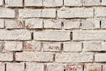 Obraz premium Bight brick wall