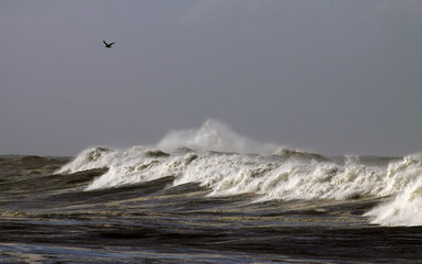Waves