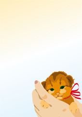 kitten, hands,ginger , background