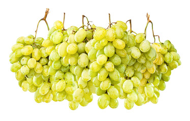 Ripe green grapes hanging against white