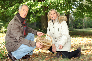 Couple gathering chestnuts