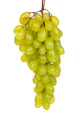 Bunch of Green Grapes laying isolated