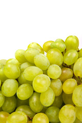 Bunch of Green Grapes laying isolated