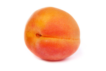 Apricot on a white background