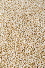 Quinoa