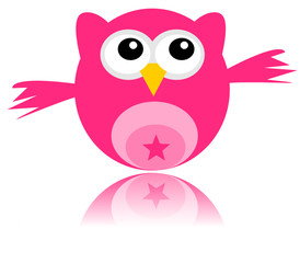 Pink owl