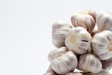 fresh garlic  on white background
