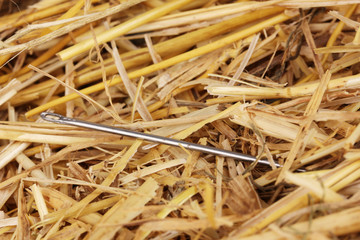 Needle in a haystack close-up