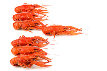 Tasty boiled crayfishes isolated on white