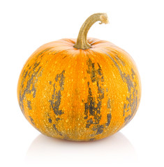 ripe pumpkin